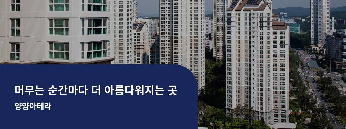 배너